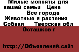 Милые мопсяты для вашей семьи › Цена ­ 20 000 - Все города Животные и растения » Собаки   . Тверская обл.,Осташков г.